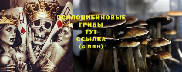 mdma Корсаков